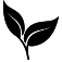 Boutique Thé naturel